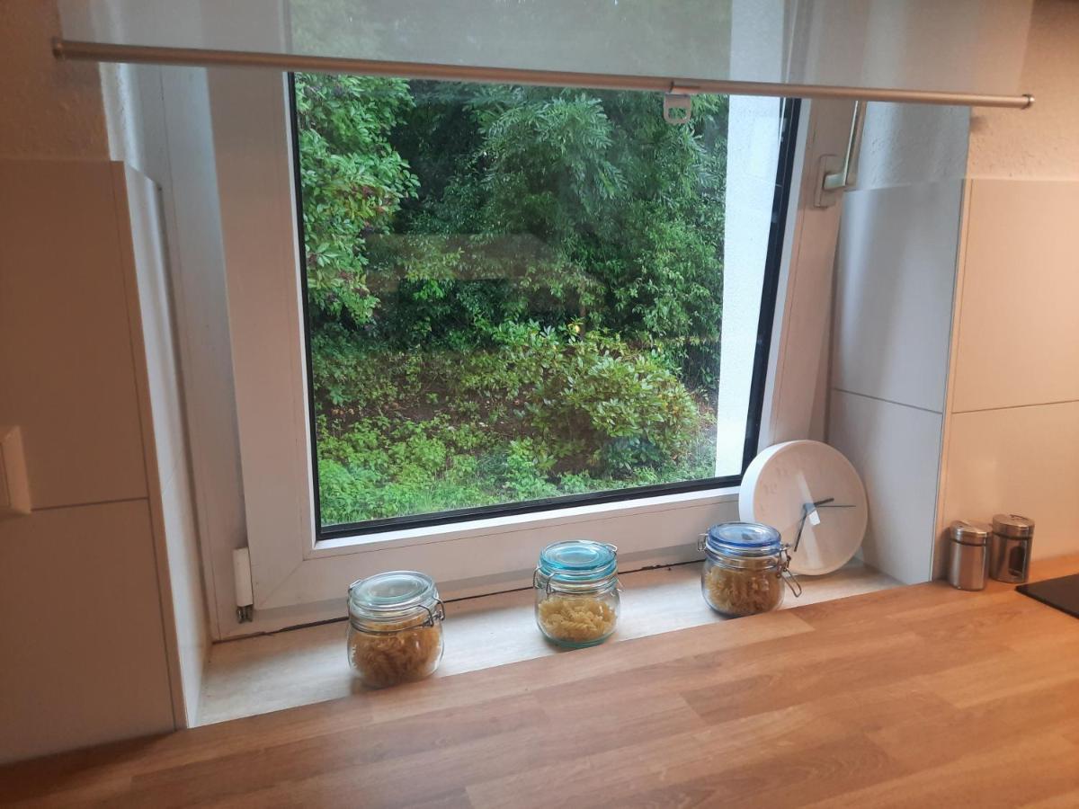 Precioso Apartamento, Aparcamiento Gratis アウグストゥスブルク エクステリア 写真